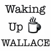 Waking Up Wallace artwork