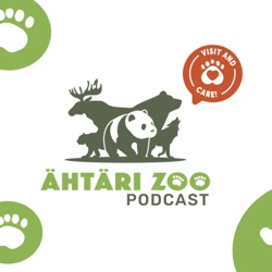 Introducing The Ähtäri Zoo Podcast