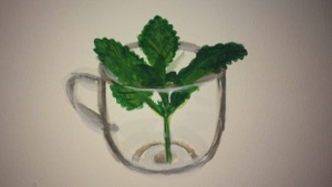 La ciencia de las plantas medicinales