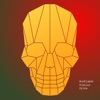 Skull Show Dj Mix artwork