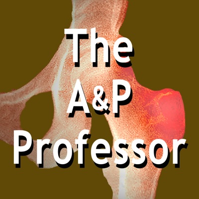 The A&P Professor The A&P Professor