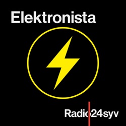 Elektronista