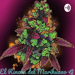 El Rincón del Marihuano 🧞‍♂️