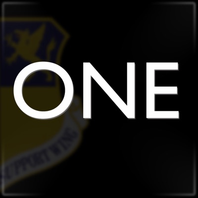 ONE:501st Combat Support Wing