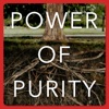 Power of Purity | Helping Men to Honor God with their Sexual Gift artwork