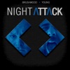 Night Attack Low Quality Video Feed artwork