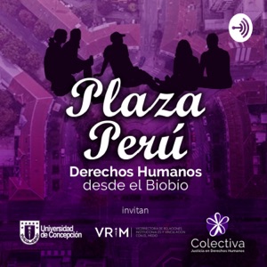 Plaza Perú: Derechos Humanos desde el Biobío