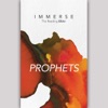 Immerse: Prophets – 8 Week Bible Reading Experience artwork