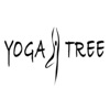 Yoga Tree artwork