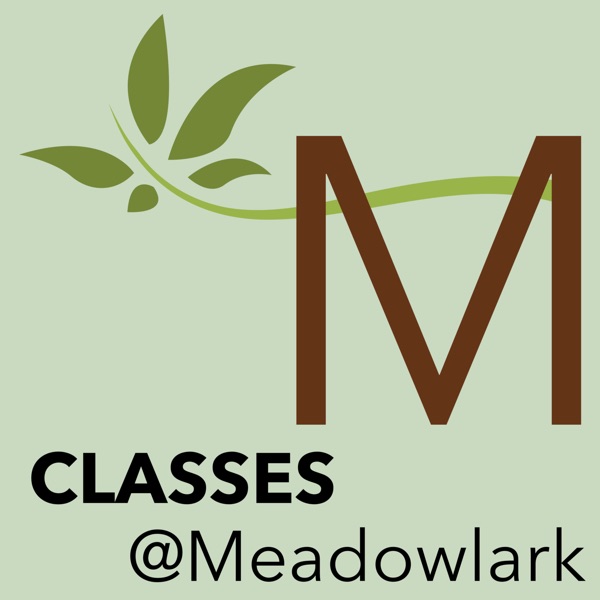 Meadowlark Church of Christ - Classes