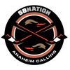 Anaheim Calling: for Anaheim Ducks fans artwork