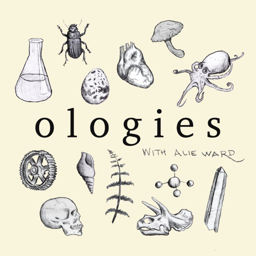 Podcast cover
