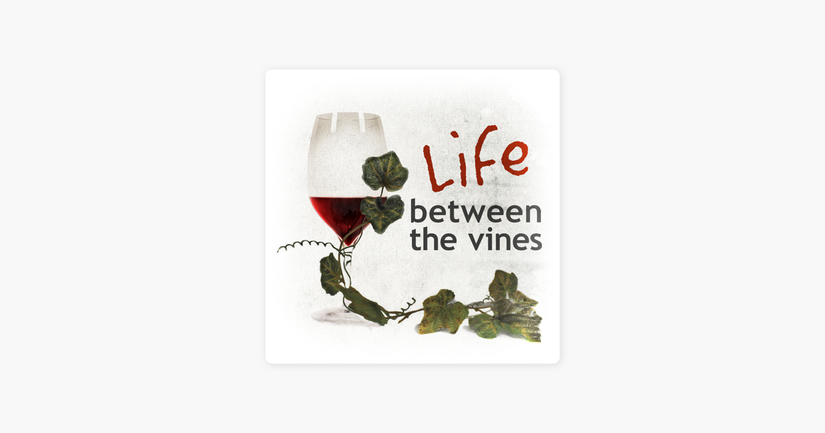 ‎Life Between the Vines: Vino Lingo – “Spittoon” – Stephanie Franklin ...