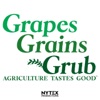 Grapes, Grains & Grub artwork