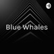 Blue Whales - No'omi