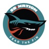 Fear The Fin artwork