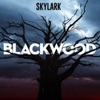 Blackwood artwork