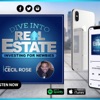 Dive Into Real Estate Investing for Newbies artwork