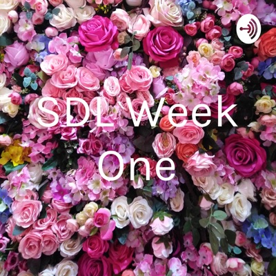 SDL Week One:Julia