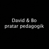 David & Bo Pratar Pedagogik - David Edfelt & Bo Hejlskov Elvén