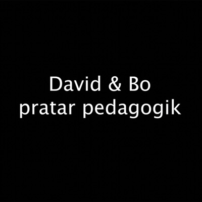 David & Bo Pratar Pedagogik