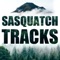 Sasquatch Tracks