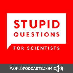 Stupid Questions for Scientists