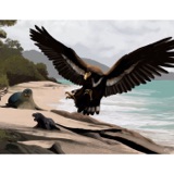 Cuba’s Giant Eagles