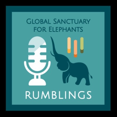 Global Rumblings Podcast:Global Sanctuary for Elephants