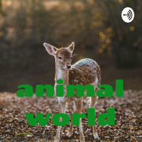 animal world podcast