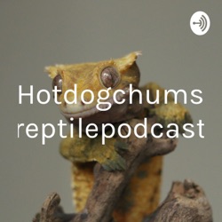 Hotdogchum’s reptile podcast