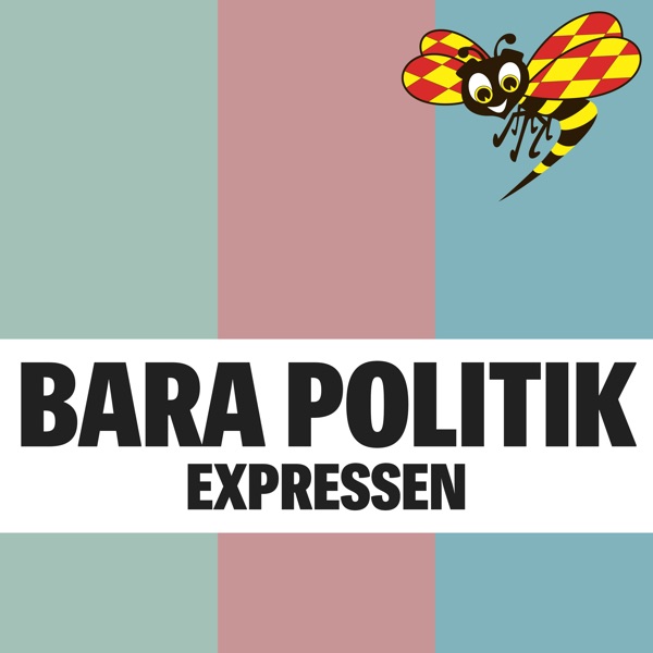 Bara Politik