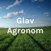 Glav Agronom artwork