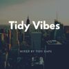 Tidy Daps - Tidy Daps