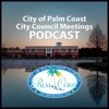 City Council - City of Palm Coast artwork
