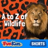 A to Z of Wildlife for Kids