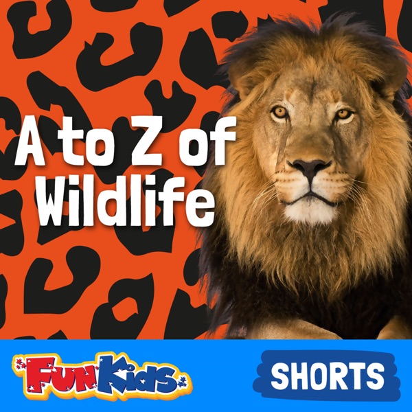 A to Z of Wildlife for Kids Artwork
