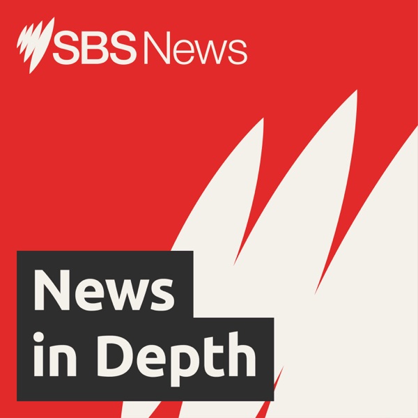 SBS News In Depth