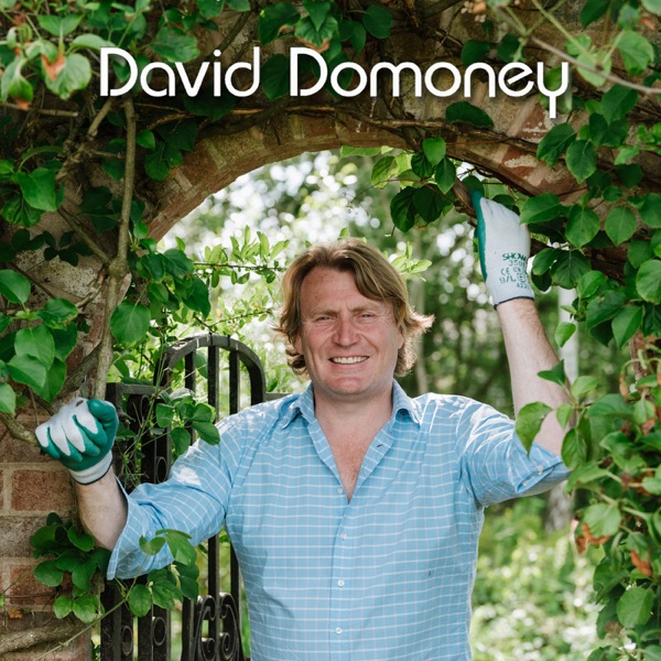 David Domoney - Horticulturist presenter on TV Artwork