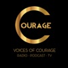 Voices of Courage with Ken D Foster artwork