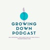 Growing Down: A Progressive Integral Podcast artwork