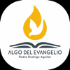 Algo del Evangelio - Padre Rodrigo Aguilar - Algo del Evangelio