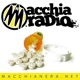 Macchiaradio (SanremoContro del 14/02/2015)