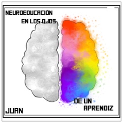 Neuroeducación en los ojos de un aprendiz 