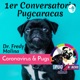 🐶❤️ Consejos y cuidados de nuestros Pug Carlinos - @pugcaracas 🇻🇪