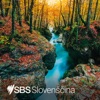SBS Slovenian - SBS v slovenščini artwork