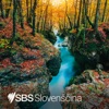 SBS Slovenian - SBS Slovenian artwork