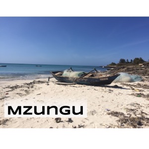 Maputo and Montepuez