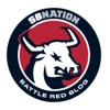 Battle Red Blog: for Houston Texans fans artwork