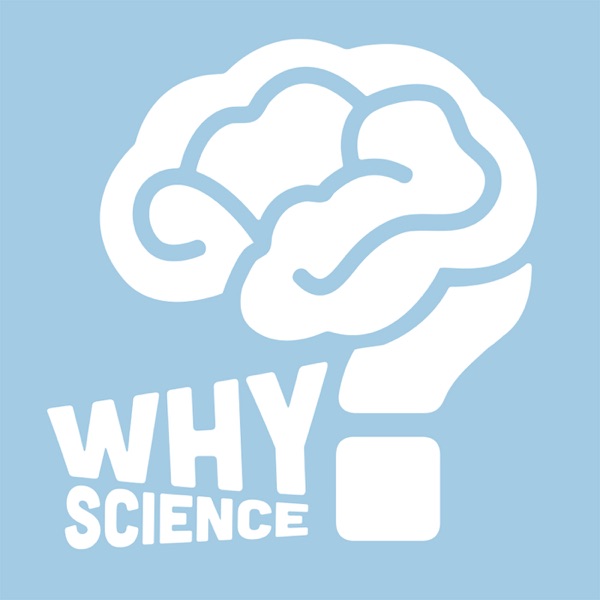 Why Science Artwork